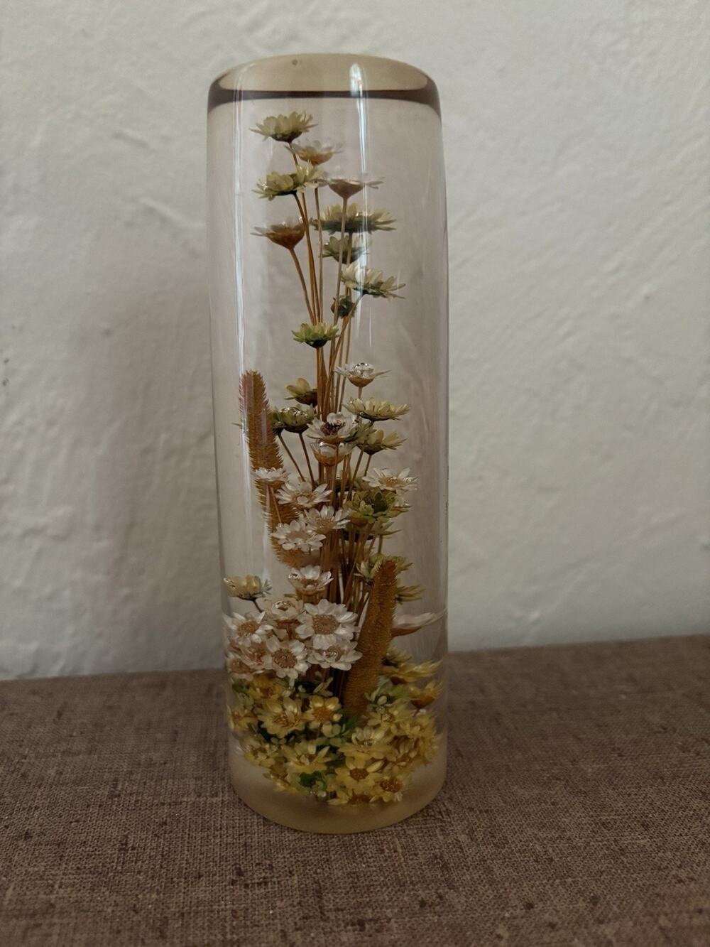 Vintage Lucite Cylinder Dried Flowers 6" Daisyglas 1970’s Decor Paperweight